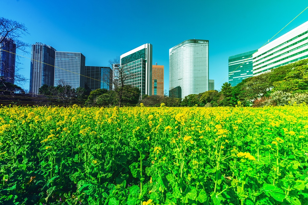 Johnson Controls se une a la celebración del día mundial del ambiente con tecnologías sostenibles y de descarbonización de edificios