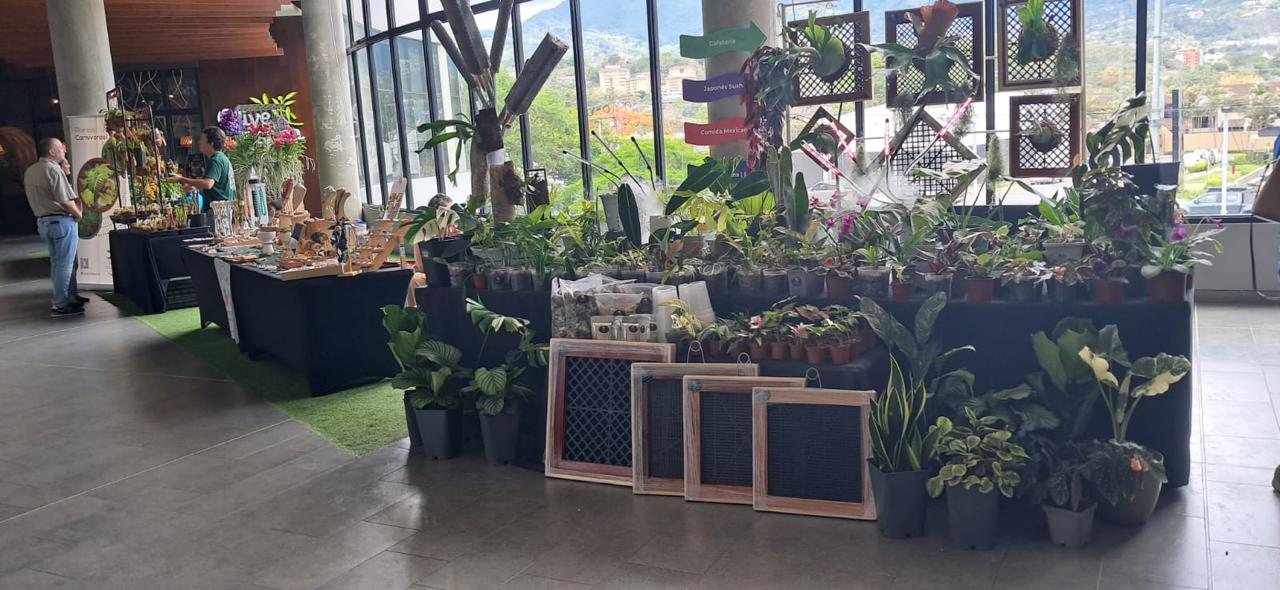 Plaza Tempo reunirá a amantes de las plantas en una feria con más de 20 expositores y emprendimientos