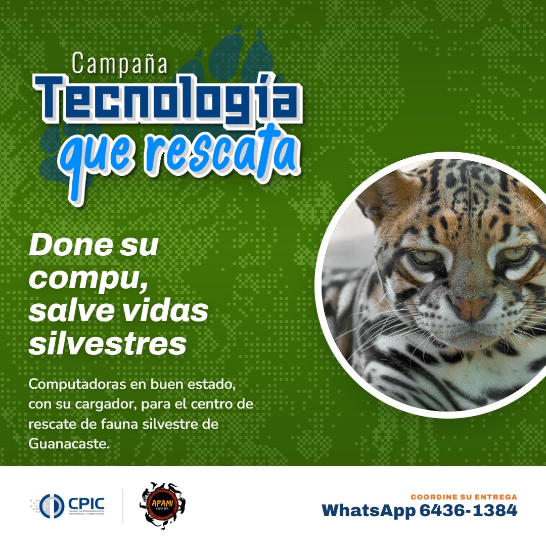 Así puede apoyar a la fauna silvestre y reciclar la tecnología que ya no usa